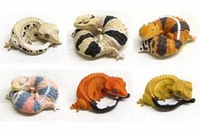 Lot de 6 mini figurines gecko