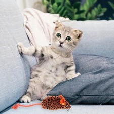  Jouet de souris intéressant