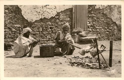 Photo afrique algerie - cp,