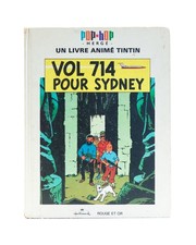 Tintin vol 714 - vol, pour