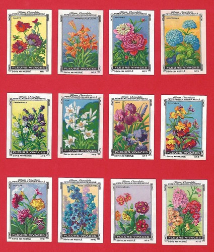 Poster stamps perennial - poster,
