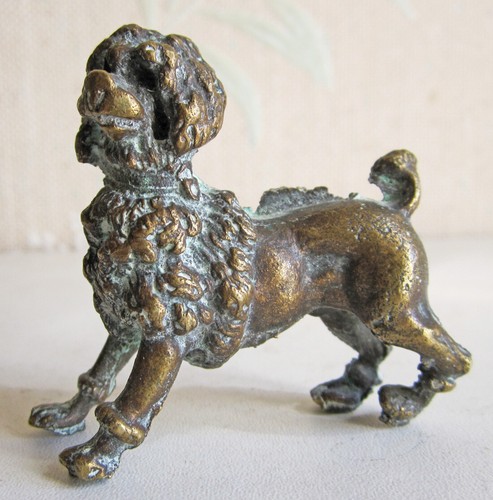 Caniche bronze finir - bronze, à