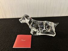 Chien labrador clair en