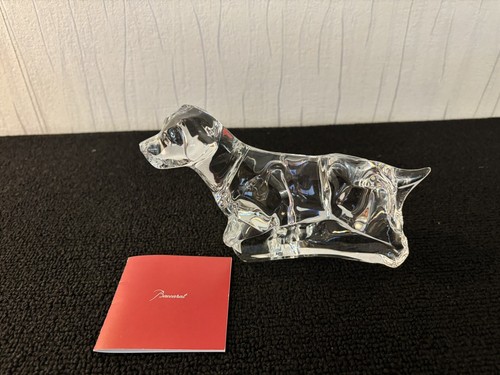 Chien labrador clair - , en