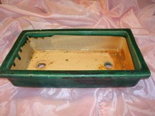 très grand pot bonzai