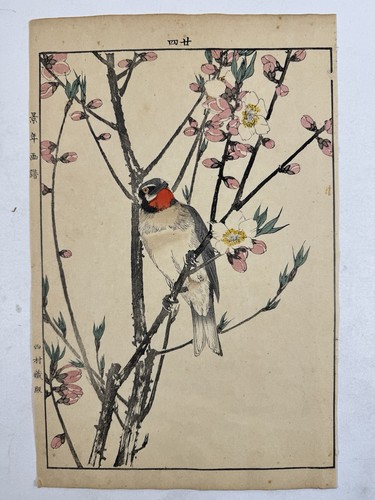 Estampe oiseau japonaise sur - japonaise,