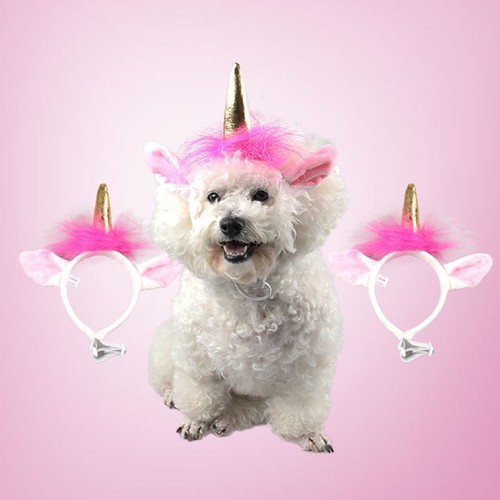 Accessoires pour chiens - accessoires,