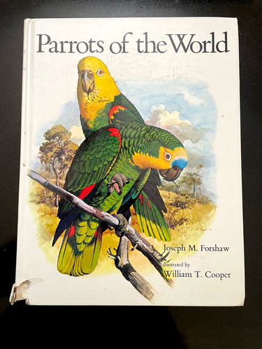 Parrots the world joseph - of,