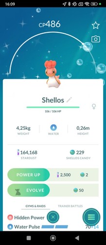 Shellos west sea - west,