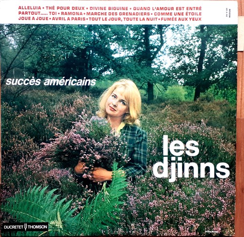 Les djinns succes americains - djinns,