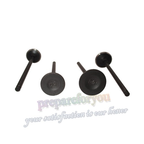 Intake exhaust valves for - valves,