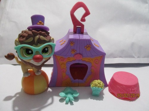 Petshop lion 1874 - petshop, +