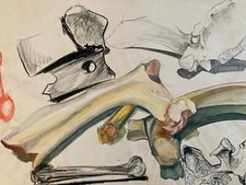 Belle Peinture Os anatomie