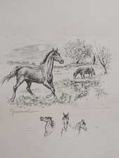 Chevaux Cheval PIERRE GEORGES JEANNIOT Gravure Originale Signee XX°