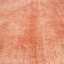 Tapis De Salon, Tapis À Poils