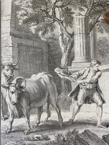 Rare gravure originale