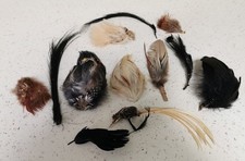 Lot de Plumes à chapeau anciennes, tête d'oiseau...