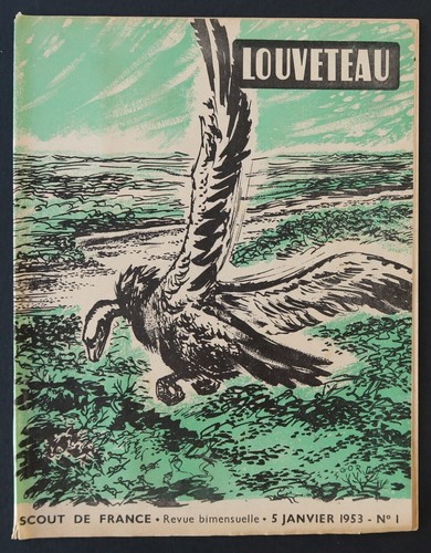 Louveteau 5 janvier - louveteau, n°1