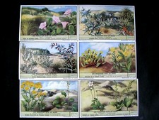 Chromos LIEBIG -Trade card