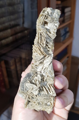Pyrite sur sidérite mure - pyrite,