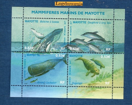 Mayotte feuille 173 à - mayotte,