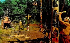 The Enchanted Forest of the