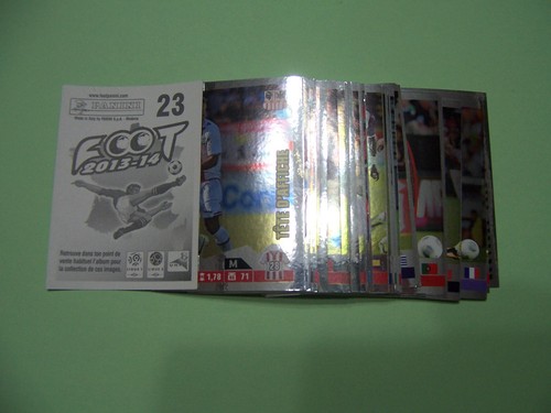 Panini foot 2013 2014 - 2013-2014, 1