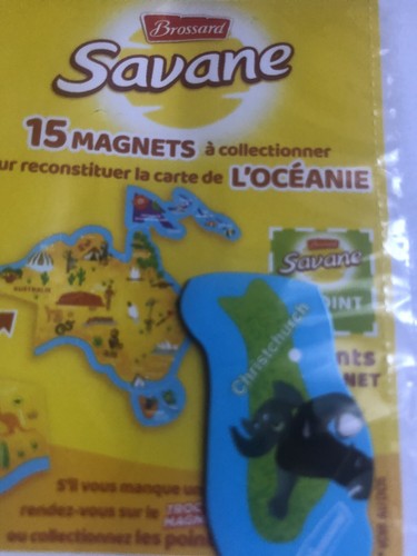 Brossard magnets savane - brossard,