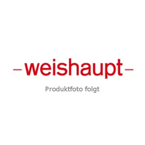 Clapet weishaupt dn100 ausf - clapet,