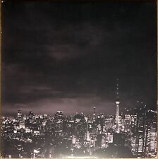 33t Indochine - Black City Parade - 2 LP - 2013