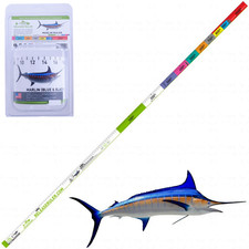 RÈGLE DE LIBÉRATION Ruban de