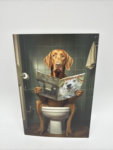 Affiche humoristique vizsla - affiche,
