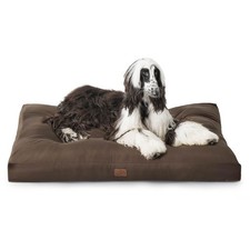 Lit XXL-XL Lavable pour Chien