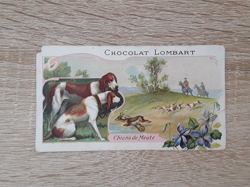 Carte-Chromos-Découpis-CHOCOL