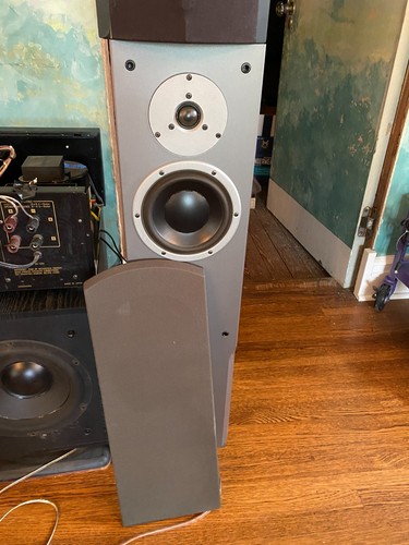 Dynaudio audience gray - audience, 62