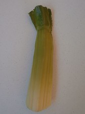 Magnète De Réfrigérateur Rétro Vintage Rare CÉLERI