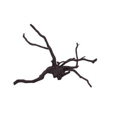 Aquarium Racine Déco Noir