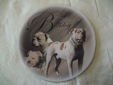 Tapis de souris - BOULEDOGUE AMERICAIN