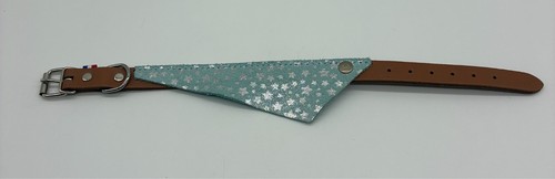 Collier pour chien martin - pour,