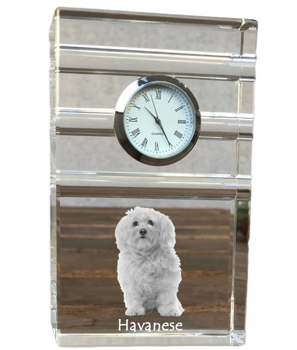 Bichon havanais horloge - , à
