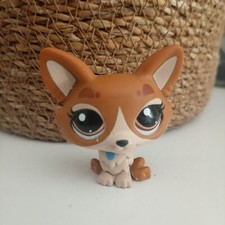 PETSHOP CHIEN CORGI N°3567