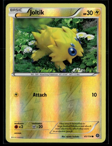 Pokemon tcg steam siege - xy,