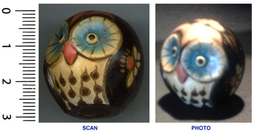 Collection chouette hibou - collection, de