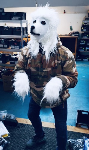 Blanc fursuit chien - fursuit,