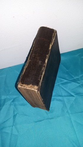 Sainte bible ancien nouveau - bible,