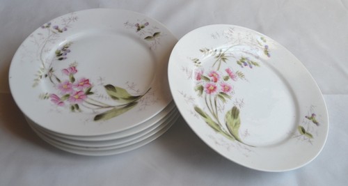 Assiettes porcelaine fin - 7,