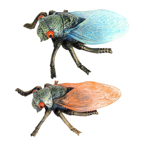 Pcs modèle insecte - 2,