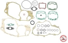 MOTORE (ENGINE) ROTAX 123