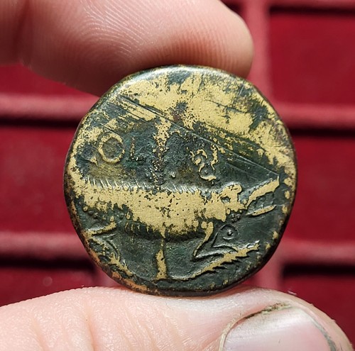 245 dupondius de - as,