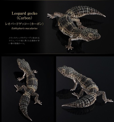 Bandai gashapon gecko selected - bandai,